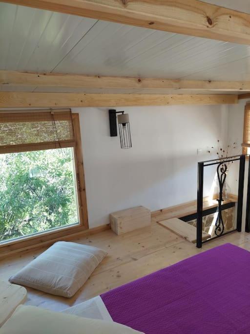 Afionas Das Gruene Haus Ngoại thất bức ảnh